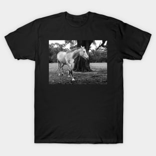 White Horse T-Shirt